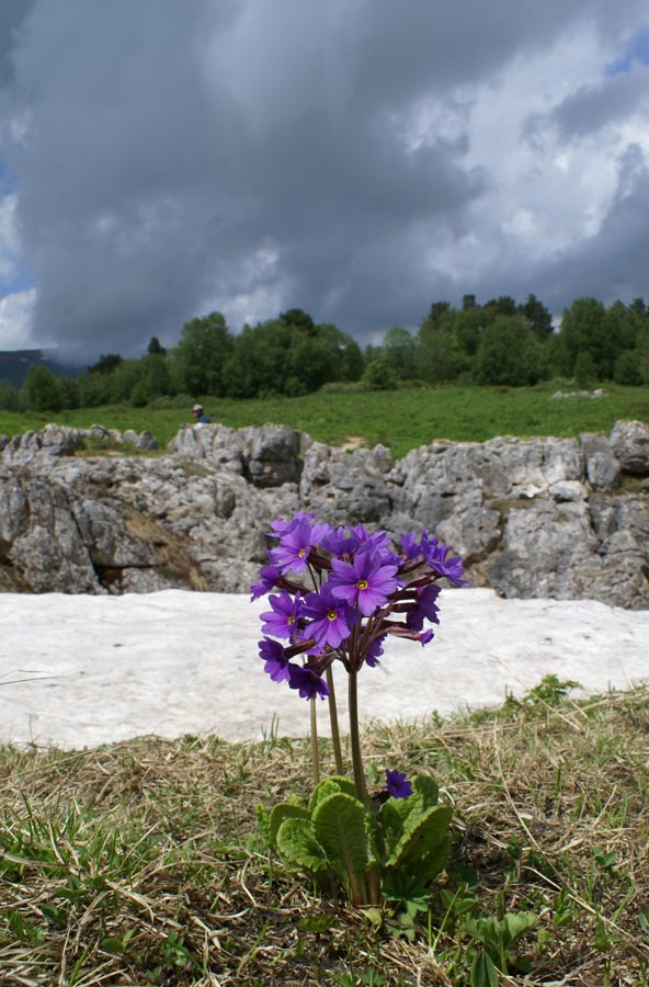 image21