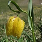 image02