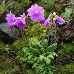 image05